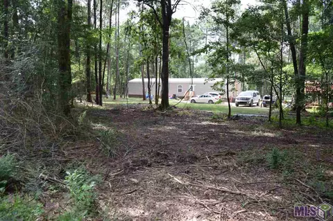 30291 Milton Rd, Walker, LA 70785 photo 17
