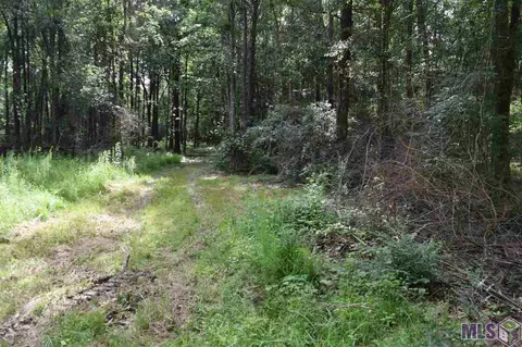 30291 Milton Rd, Walker, LA 70785 photo 16