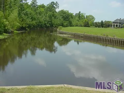 32058 Oneal Dr, Springfield, LA 70462 photo 29