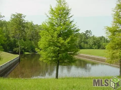 32058 Oneal Dr, Springfield, LA 70462 photo 27