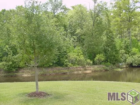 32058 Oneal Dr, Springfield, LA 70462 photo 31