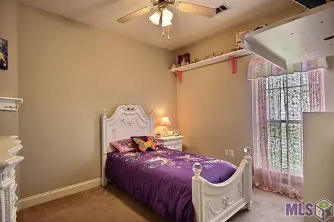 12454 Timberwood Dr, Walker, LA 70785 photo 12