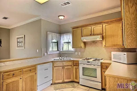 12454 Timberwood Dr, Walker, LA 70785 photo 1
