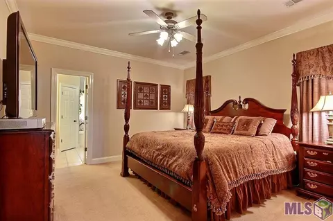 12454 Timberwood Dr, Walker, LA 70785 photo 7