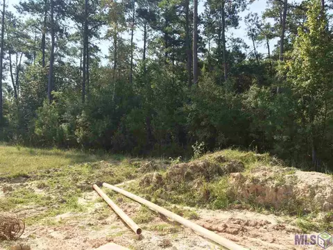 22554 Gem Stone Pl, Robert, LA 70455 photo 14