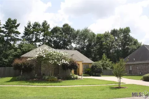 12546 Hidden Ridge Dr, Walker, LA 70785 photo 3