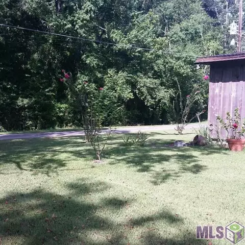 17337 Cline Dr, Maurepas, LA 70449 photo 14