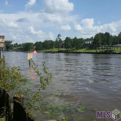 17337 Cline Dr, Maurepas, LA 70449 photo 21