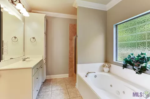 34242 Spring Lake Dr, Walker, LA 70785 photo 9