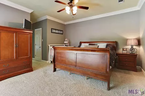34242 Spring Lake Dr, Walker, LA 70785 photo 8