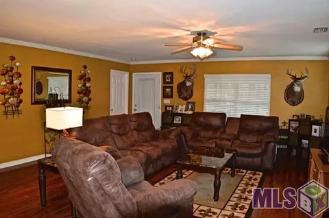 17018 Peace Point Dr, Springfield, LA 70462 photo 4