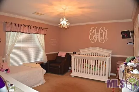 17018 Peace Point Dr, Springfield, LA 70462 photo 13