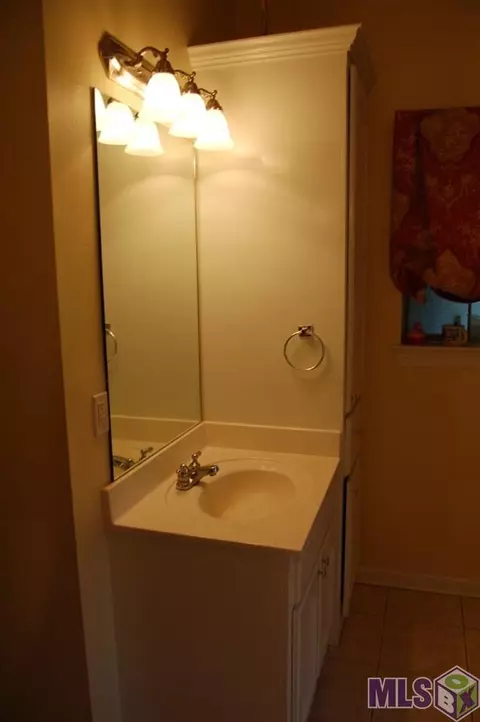 12530 Hidden Ridge Dr, Walker, LA 70785 photo 17