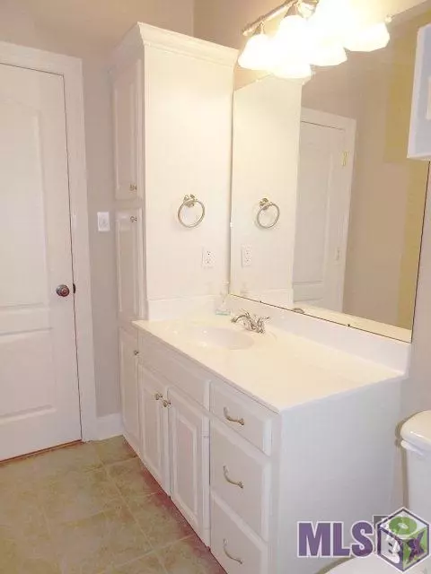 28058 Great Eagle Ave, Walker, LA 70785 photo 13