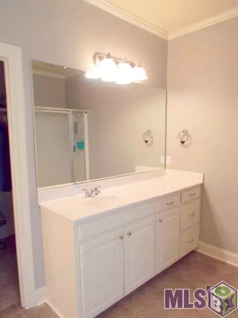 28058 Great Eagle Ave, Walker, LA 70785 photo 20
