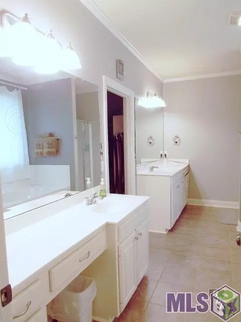 28058 Great Eagle Ave, Walker, LA 70785 photo 19