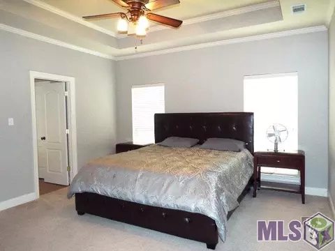 28058 Great Eagle Ave, Walker, LA 70785 photo 18