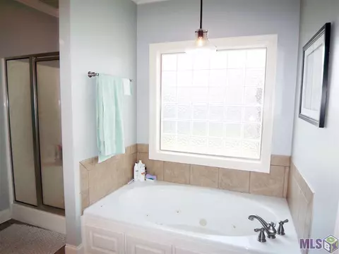 13478 Williamsburg Dr, Walker, LA 70785 photo 10