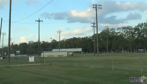 30489 Paul St, Walker, LA 70785 photo 29