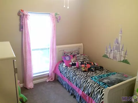 30489 Paul St, Walker, LA 70785 photo 12