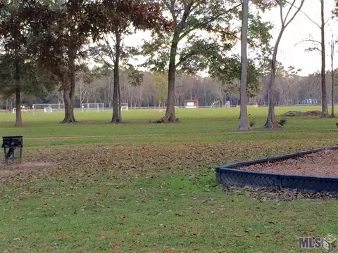 30489 Paul St, Walker, LA 70785 photo 30