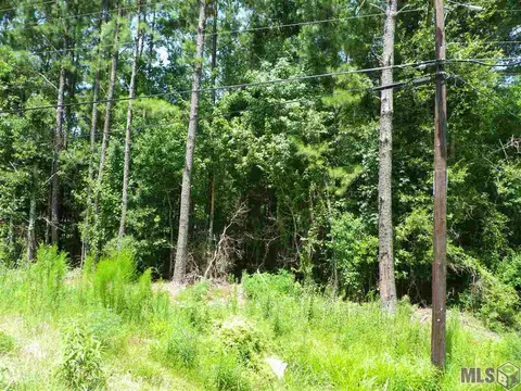 36365 N Corbin Rd, Walker, LA 70785 photo 1