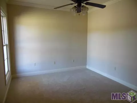 14090 Ventress Rd, Ventress, LA 70783 photo 9
