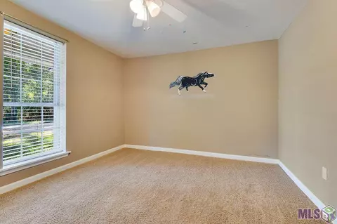 34172 Duff Rd, Walker, LA 70785 photo 9