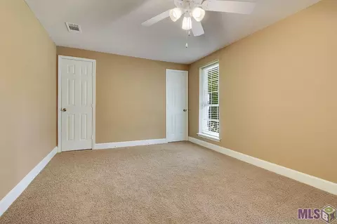 34172 Duff Rd, Walker, LA 70785 photo 8