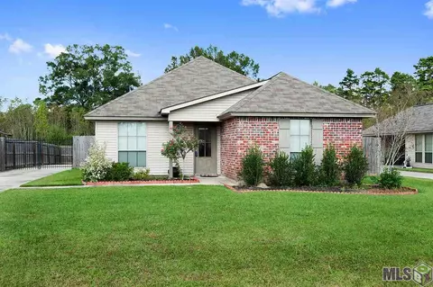 12281 Greenbriar Dr, Walker, LA 70785 photo 1