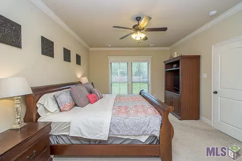 12471 Three Lakes Dr, Walker, LA 70785 photo 18