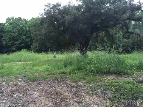17141 Carthage Bluff Rd, Springfield, LA 70462 photo 6