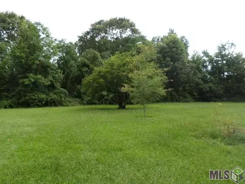 14646 Denham Rd, Pride, LA 70770 photo 10
