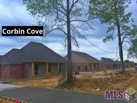 15474 Nova Ln, Walker, LA 70785 photo 21