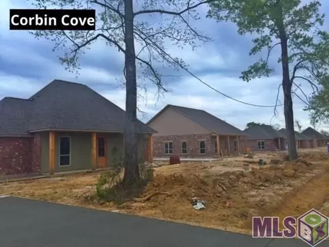 15450 Nova Ln, Walker, LA 70785 photo 13