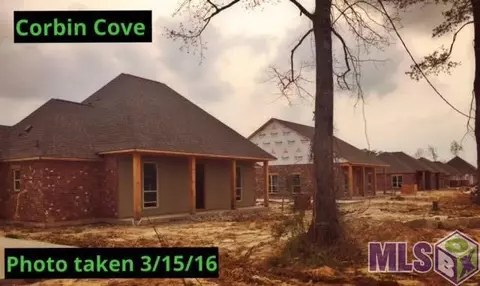 15450 Nova Ln, Walker, LA 70785 photo 4