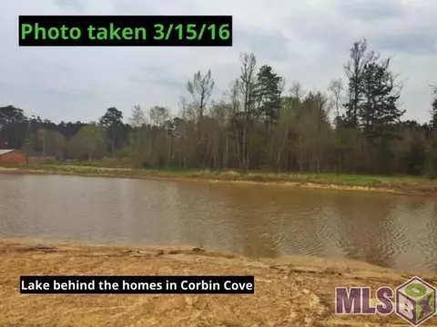 15450 Nova Ln, Walker, LA 70785 photo 6