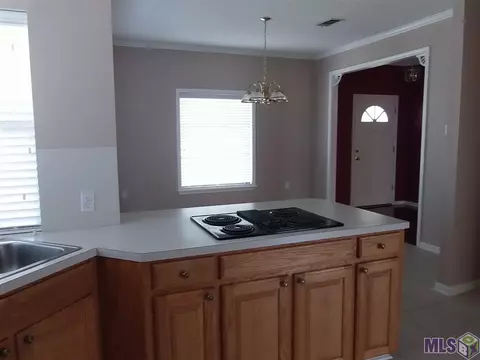 14926 Glenn Ave, Pride, LA 70770 photo 4