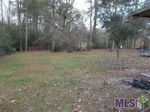 26805 Pen Dr, Walker, LA 70785 photo 7