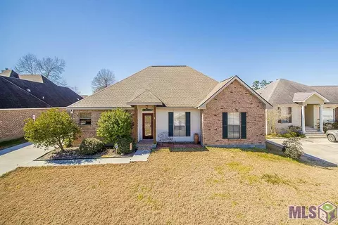 28009 Great Eagle Ave, Walker, LA 70785 photo 1