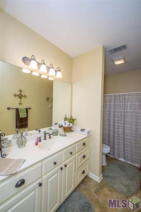 28009 Great Eagle Ave, Walker, LA 70785 photo 21