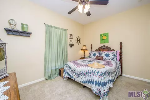 28009 Great Eagle Ave, Walker, LA 70785 photo 19