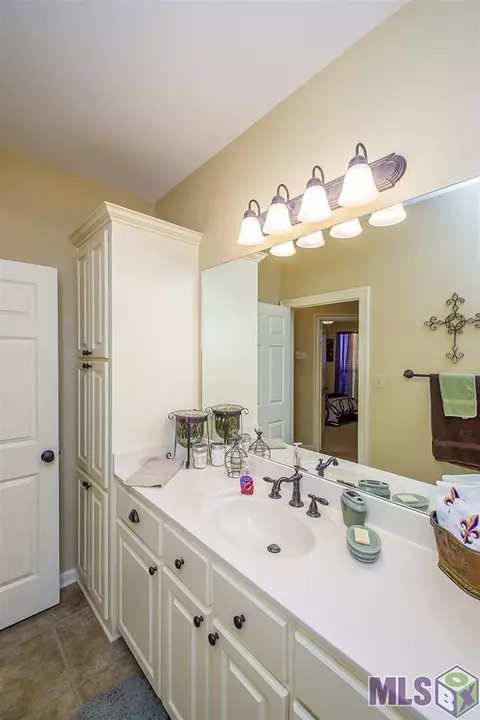 28009 Great Eagle Ave, Walker, LA 70785 photo 22