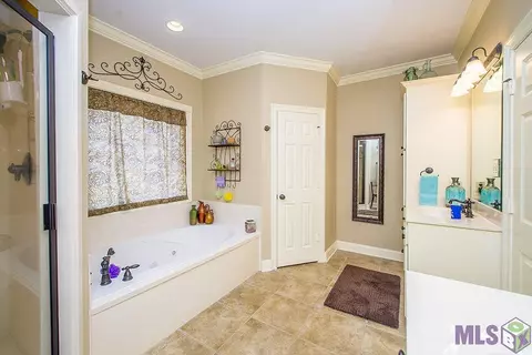 28009 Great Eagle Ave, Walker, LA 70785 photo 18