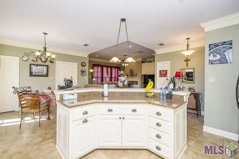 28009 Great Eagle Ave, Walker, LA 70785 photo 9