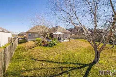 28009 Great Eagle Ave, Walker, LA 70785 photo 3