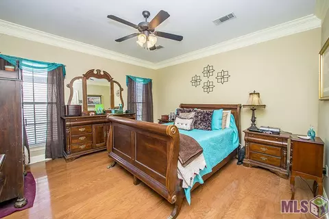 28009 Great Eagle Ave, Walker, LA 70785 photo 15