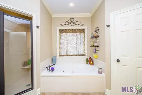 28009 Great Eagle Ave, Walker, LA 70785 photo 17