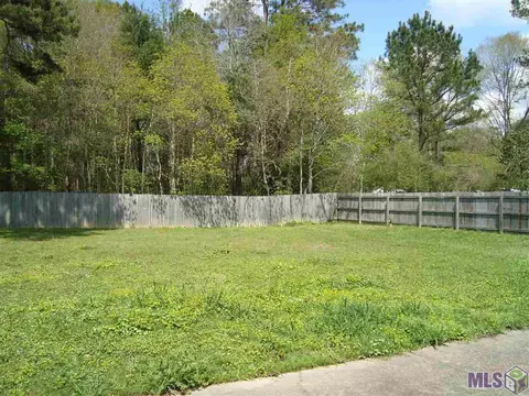 13331 Savannah Dr, Walker, LA 70785 photo 19