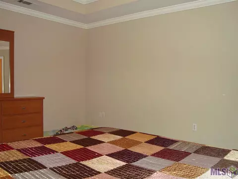 13331 Savannah Dr, Walker, LA 70785 photo 13